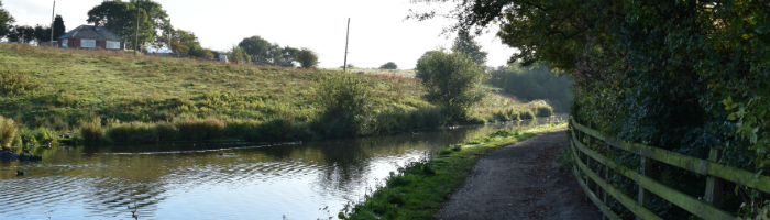 Daisy Nook